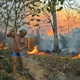 Idelia Lima Lisboa, wife of a farmer who set fire to rainforest around his property, tries to clear a path of dry leaves as the fire approaches their house in an area of Amazon rainforest, south of Novo Progresso in Para state, Brazil, on Aug. 15, 2020.